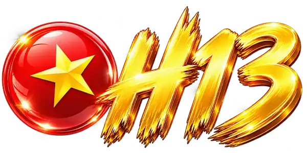 H13